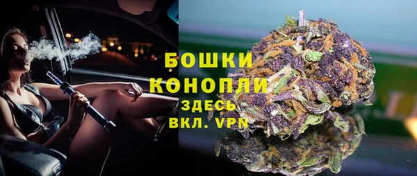 МДПВ Заводоуковск